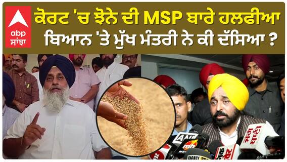 Bhagwant Mann| ਕੋਰਟ 'ਚ ਝੋਨੇ ਦੀ MSP ਬਾਰੇ ਹਲਫੀਆ ਬਿਆਨ 'ਤੇ ਮੁੱਖ ਮੰਤਰੀ ਨੇ ਕੀ ਦੱਸਿਆ ?