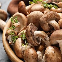 Mushroom Benefits: ਸਰਦੀਆਂ 'ਚ ਮਸ਼ਰੂਮ ਦਾ ਸੇਵਨ ਹੈ ਬੇਹੱਦ ਲਾਭਦਾਇਕ