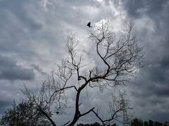 నేడు తేలికపాటి నుంచి ఓ మోస్తరు వర్షాలు, మరో పది రోజుల్లో అల్పపీడనం: ఐఎండీ