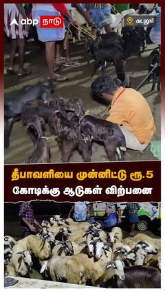 தீபாவளியை முன்னிட்டு ரூ 5 கோடிக்கு ஆடுகள் விற்பனை