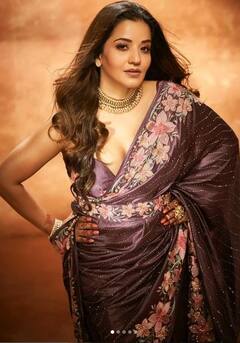 Monalisa: ਮੋਨਾਲੀਸਾ ਦਾ ਧਨਤੇਰਸ ਲੁੱਕ ਬੇੱਹਦ ਸ਼ਾਨਦਾਰ, ਸਾੜ੍ਹੀ ਵਿੱਚ ਮਚਾਈ ਤਬਾਹੀ