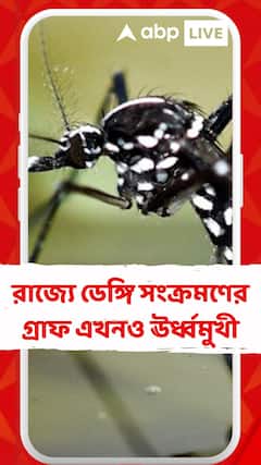 রাজ্যে ডেঙ্গি সংক্রমণের গ্রাফ এখনও ঊর্ধ্বমুখী