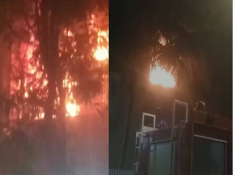 Mumbai Fire incident Fire broke out vileparle Mumbai 96 years old woman dies Mumbai Maharashtra Mumbai Fire :  मुंबई : विलेपार्लेतील इमारतीला भीषण आग, एका वृद्धेचा आगीत होरपळून मृत्यू