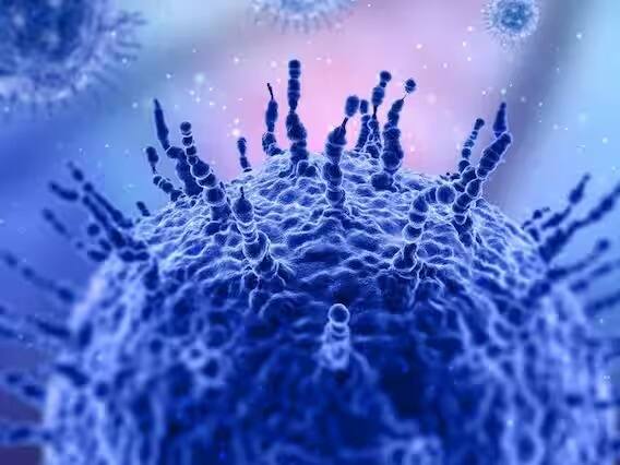 JN.1 व्हेरियंट अधिक संसर्गजन्य असल्याचं सांगितलं जात आहे. नवा कोविड प्रकार BA.2.86 च्या कुटुंबातून उदयास आला आहे. JN.1 प्रकारातील स्पाईक प्रोटीनमध्ये 41 म्यूटेशन झालं आहेत. आतापर्यंत सापडलेल्या सर्व प्रकारांमध्ये या प्रकारात जेवढे बदल पाहिले गेले आहेत, तेवढे बदल झालेले नाहीत.