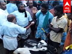 தீபாவளி முன்னிட்டு விழுப்புரம், கடலூரில் ரூ.13 கோடிக்கு ஆடுகள் விற்பனை