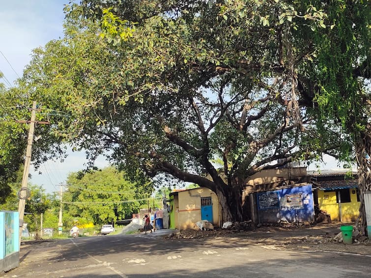 Diwali A village where crackers don't explode on Diwali for birds in Coimbatore Coimbatore: பறவைகளுக்காக பட்டாசு வெடிக்காத கிராமம்; பசுமை வனங்களை உருவாக்கி அசத்தல்!