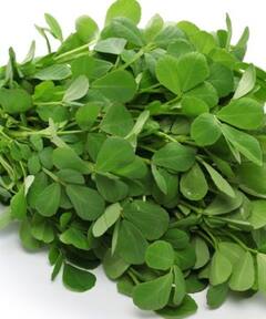 Side Effects Fenugreek Leaves: ਜ਼ਿਆਦਾ ਮੇਥੀ ਖਾਣ ਨਾਲ ਸਿਹਤ ਨੂੰ ਫਾਇਦੇ ਦੀ ਬਜਾਏ ਹੋ ਸਕਦਾ ਨੁਕਸਾਨ, ਜਾਣੋ ਕਿਹੜੇ ਲੋਕਾਂ ਨਹੀਂ ਖਾਣੀ ਚਾਹੀਦੀ