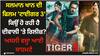 Salman Khan: ਸਲਮਾਨ ਖਾਨ ਦੀ ਫਿਲਮ 'ਟਾਈਗਰ 3' ਕਿਉਂ ਹੋ ਰਹੀ ਹੈ ਦੀਵਾਲੀ 'ਤੇ ਰਿਲੀਜ਼? ਅਸਲੀ ਵਜ੍ਹਾ ਆਈ ਸਾਹਮਣੇ