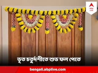 Diwali 2023 : আজ ভূত চতুর্দশী, এই ছোট ছোট বিষয়গুলিতে নজর রাখলে সব ঝামেলার হবে অবসান !