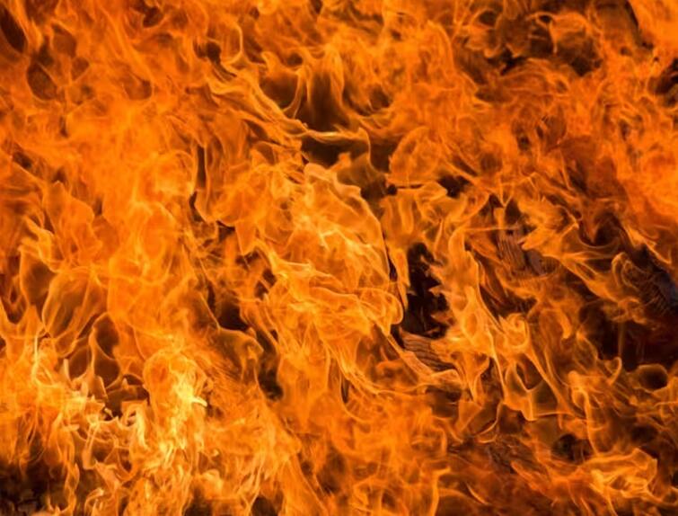 jammu kashmir srinagar dal lake houseboats massive fire three dead bodies recovered  Jammu Kashmir: શ્રીનગરના દાલ લેકમાં હાઉસબોટમાં લાગી આગ, ત્રણ મૃતદેહ મળ્યા
