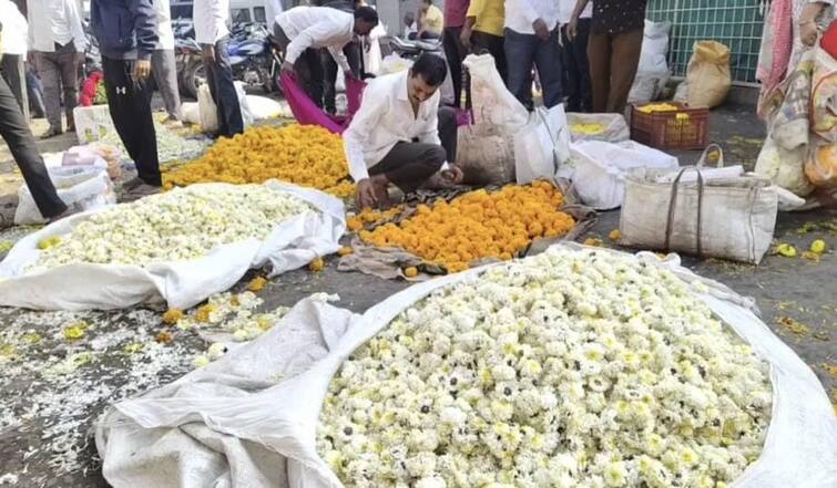 Nashik latest News occasion of Lakshmipujan price of flowers has gone up price of flowers in Nashik maharashtra news Nashik News : फुलांचा बाजार सजला, लक्ष्मीपूजनासाठी झेंडूच्या फुलांचा दर वाढला, नाशिककरांची खरेदीसाठी गर्दी 