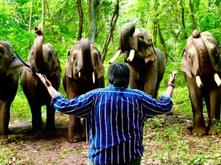 jigarthanda double x karthik subbaraj wishes diwali wishes with elephants photos Karthik Subbaraj : ஜிகர்தண்டா டபுள் எக்ஸின் வெற்றி...  யானைகளுடன் புகைப்படங்களை வெளியிட்டு  நன்றி தெரிவித்த கார்த்திக் சுப்பாராஜ்