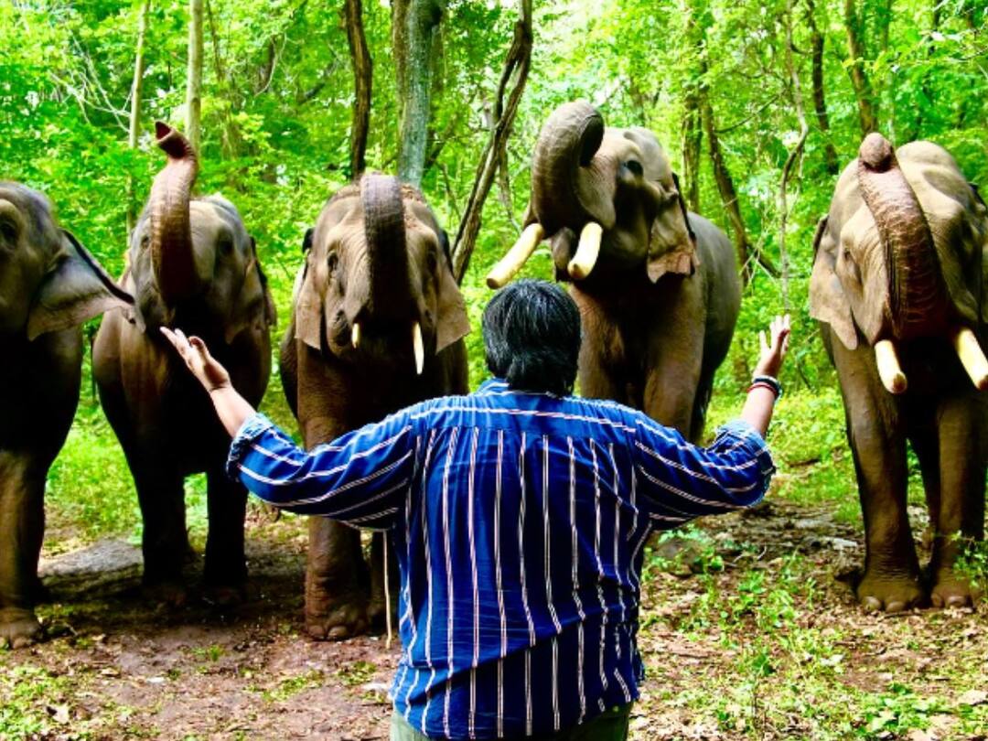 Karthik Subbaraj : ஜிகர்தண்டா டபுள் எக்ஸின் வெற்றி...  யானைகளுடன் புகைப்படங்களை வெளியிட்டு  நன்றி தெரிவித்த கார்த்திக் சுப்பராஜ்