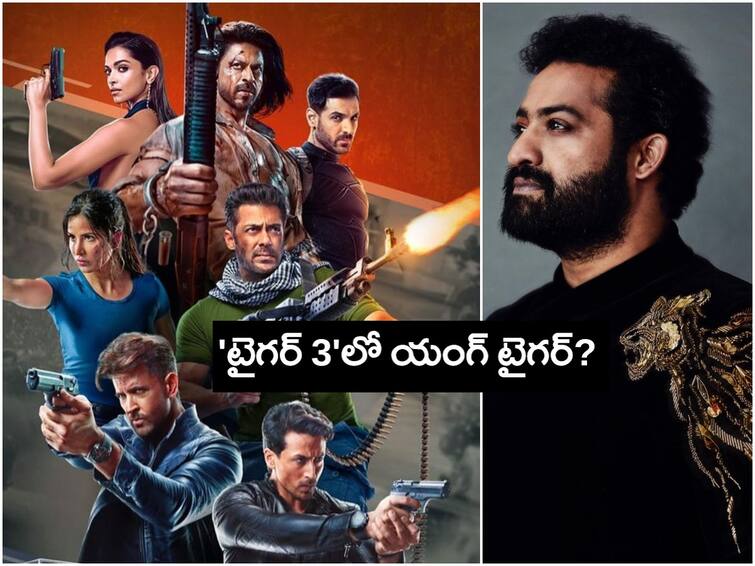 Tiger 3 Fact Check Jr NTR Cameo in Salman Khan Katrina Kaif movie is not true Telugu News Tiger 3 Jr NTR : ఎన్టీఆర్ అభిమానులకు సారీ - హృతిక్ రోషన్ ఉన్నాడు కానీ?