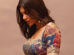 Kalyani Priyadarshan Photos : దీపావళి స్పెషల్ ఫోటోలు పోస్ట్ చేసిన 'ప్రేమవెన్నెల'