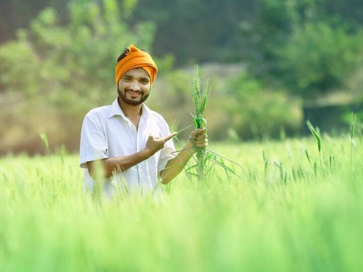 PM Kisan AI Chatbot gives answer regarding PM Kisan Samman Nidhi Yojana PM Kisan AI Chatbot: पीएम किसान एआई चैटबॉट देगा किसान सम्मान निधि योजना से जुड़े हर सवाल का 5 भाषाओं में जवाब