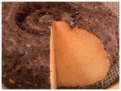 इस मसाले को डालकर बनाएं जिमीकंद की सब्जी, जिसे खाके हर कोई कहेगा वाह