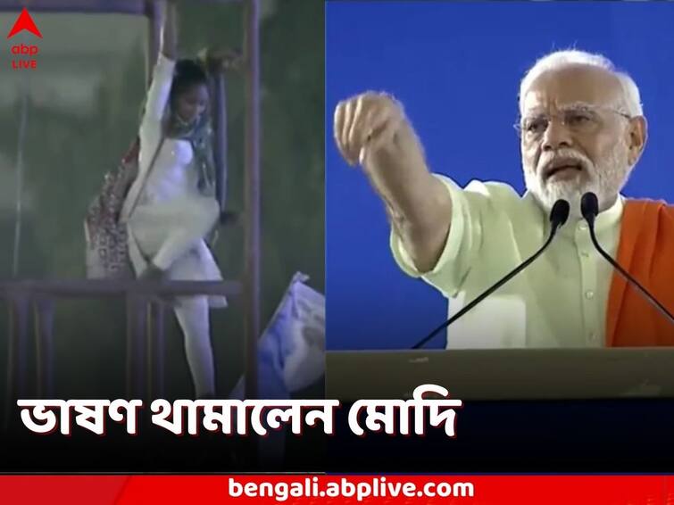 Telangana Assembly Elections 2023 Woman Climbs up Light tower during Narendra Modi's speech at rally Telangana Assembly Elections 2023: নির্বাচনী সভায় হঠাৎ লাইট টাওয়ারে তরুণী, ভাষণ থামিয়ে আকুতি মোদিরও, ভিডিও ভাইরাল