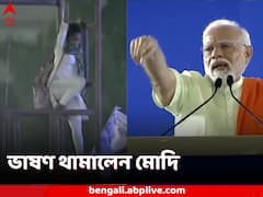 নির্বাচনী সভায় হঠাৎ লাইট টাওয়ারে তরুণী, ভাষণ থামিয়ে আকুতি মোদিরও, ভিডিও ভাইরাল
