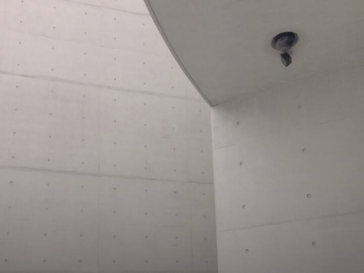 आप इन्हें ऑनलाइन या इलेक्ट्रॉनिक्स स्टोर से खरीद सकते हैं. कैमरा डिटेक्टर का इस्तमील करने के लिए, बस इसे ऑन करें और कमरे के चारों ओर घुमाएं. कैमरा होने पर यह अलार्म बजा देता है.