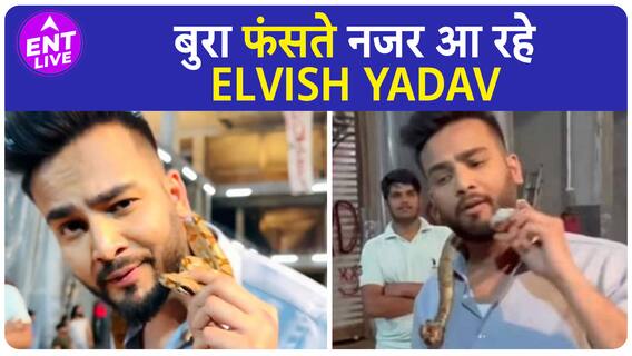 Elvish Yadav Case : साथियों के पास से बरामद हुआ 20 ml सांप का जहर, Testing के लिए Lab में भेजा गया
