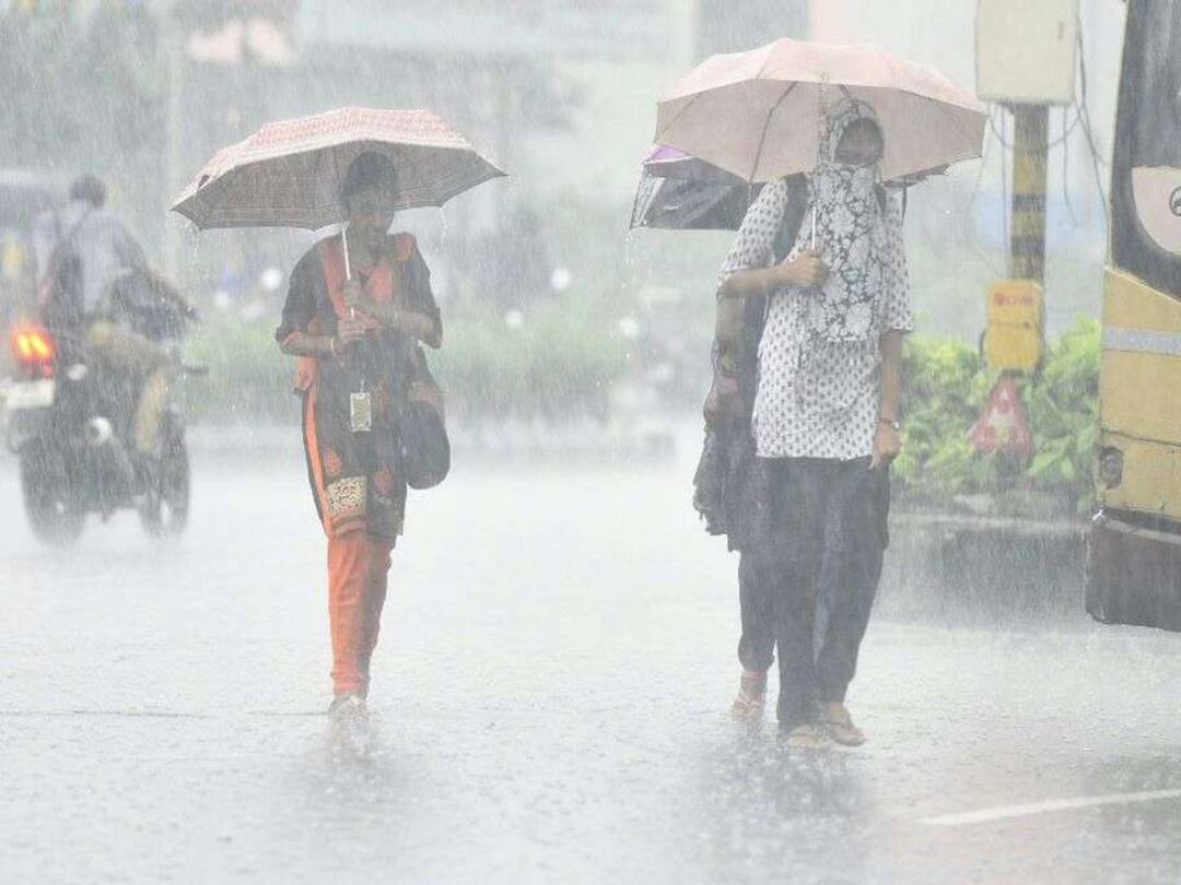 Tamil Nadu Rain Weather Update Heavy rain will occur tomorrow in 15 districts including Chennai TN Rain Alert: சென்னை உள்பட 15 மாவட்டங்களில் நாளை கனமழை பெய்யும்.. எச்சரித்த வானிலை ஆய்வு மையம்!