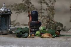 Shiv Puja : শিবপুজোয় বেলপাতা কেন এত গুরুত্বপূর্ণ? না পেলে কী করবেন?