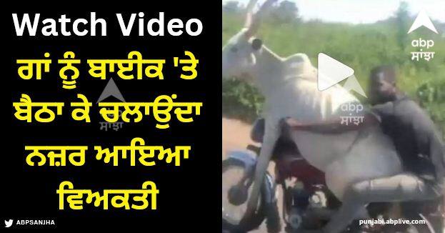 man seen riding bike with cow sitting on it watch viral video Viral Video: ਗਾਂ ਨੂੰ ਬਾਈਕ 'ਤੇ ਬੈਠਾ ਕੇ ਚਲਾਉਂਦਾ ਨਜ਼ਰ ਆਇਆ ਵਿਅਕਤੀ, ਵੀਡੀਓ ਦੇਖ ਹੱਸ ਹੱਸ ਕਮਲੇ ਹੋਏ ਲੋਕ