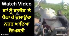 Viral Video: ਗਾਂ ਨੂੰ ਬਾਈਕ 'ਤੇ ਬੈਠਾ ਕੇ ਚਲਾਉਂਦਾ ਨਜ਼ਰ ਆਇਆ ਵਿਅਕਤੀ, ਵੀਡੀਓ ਦੇਖ ਹੱਸ ਹੱਸ ਕਮਲੇ ਹੋਏ ਲੋਕ