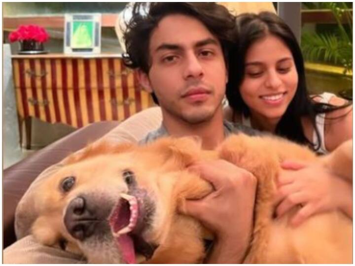 26 साल के हुए शाहरुख खान के लाडले Aryan Khan, छोटी बहन Suhana Khan ने खास अंदाज में दी भाई को जन्मदिन की बधाई shah rukh khan son aryan khan 26th birthday suhana khan shared photo with brother aryan on his birthdat 26 साल के हुए शाहरुख खान के लाडले Aryan Khan, छोटी बहन Suhana Khan ने खास अंदाज में दी भाई को जन्मदिन की बधाई