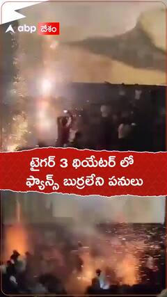 టైగర్ 3 సినిమా థియేటర్ లో బాణసంచా కాల్చిన ఫ్యాన్స్