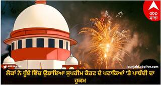 Pollution: ਲੋਕਾਂ ਨੇ ਧੂੰਏ ਵਿੱਚ ਉਡਾਇਆ ਸੁਪਰੀਮ ਕੋਰਟ ਦੇ ਪਟਾਕਿਆਂ 'ਤੇ ਪਾਬੰਦੀ ਦਾ ਹੁਕਮ, ਵੱਡੇ ਪੱਧਰ 'ਤੇ ਚਲਾਏ ਗਏ ਪਟਾਕੇ