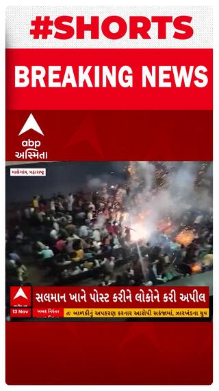 Tiger 3 : મહારાષ્ટ્રના માલેગાંવમાં ટાઈગર-3ના સ્ક્રીનિંગ દરમિયાન થિયેટરમાં આતશબાજી થતા ભાગદોડ મચી