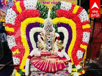 Melamalayanur Angala Parameshwari Amman in Annapurani decoration Villupuram TNN ஐப்பசி மாத அமாவாசை: அன்னபூரணி அலங்காரத்தில் மேல்மலையனூர் அங்காள பரமேஸ்வரி அம்மன்