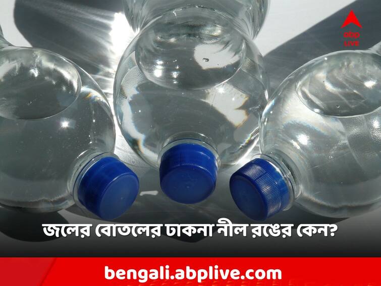 Why are most bottle caps blue Do You Know: বেশিরভাগ বোতলের ঢাকনা কেন নীল হয়?