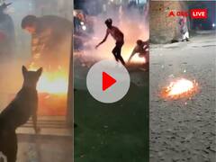 Diwali 2023: पटाखों के कारण मुश्किल में पड़ी लोगों की जान! इंटरनेट पर वायरल हो रहे दिवाली से जुड़े ये खतरनाक VIDEO