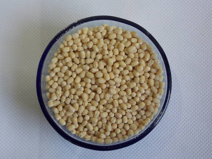 Urad Dal Benefits : உளுந்தில் நிறைந்திருக்கும் எண்ணற்ற நன்மைகளை தெரிந்து கொள்ளுங்கள்.