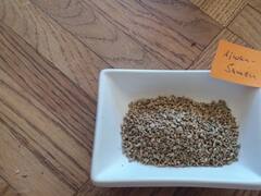 Omam Biscuit Recipe : செரிமானத்திற்கு உதவும் ஓமம் பிஸ்கட்..இன்றே வீட்டில் செய்யுங்கள்..!