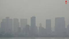 Air Pollution: ভয়াবহ দূষণ দিল্লিতে, দীপাবলিতে বাজি পোড়ানোর পর বাড়ল উদ্বেগ