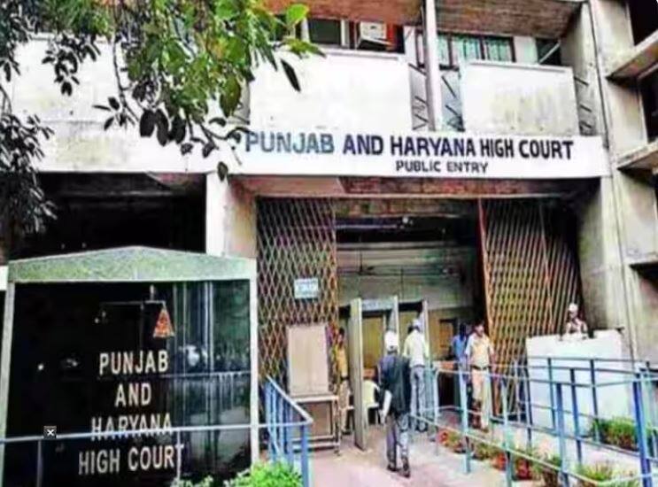 punjab and haryana high court says live in relationship is lustful life without divorce Live-In Relationship: ਤਲਾਕ ਲਏ ਬਿਨਾਂ ਲਿਵ-ਇਨ ਰਿਲੇਸ਼ਨਸ਼ਿਪ 'ਚ ਰਹਿਣਾ ਲਿਵ-ਇਨ ਨਹੀਂ ਰਹਿ ਜਾਂਦਾ: HC