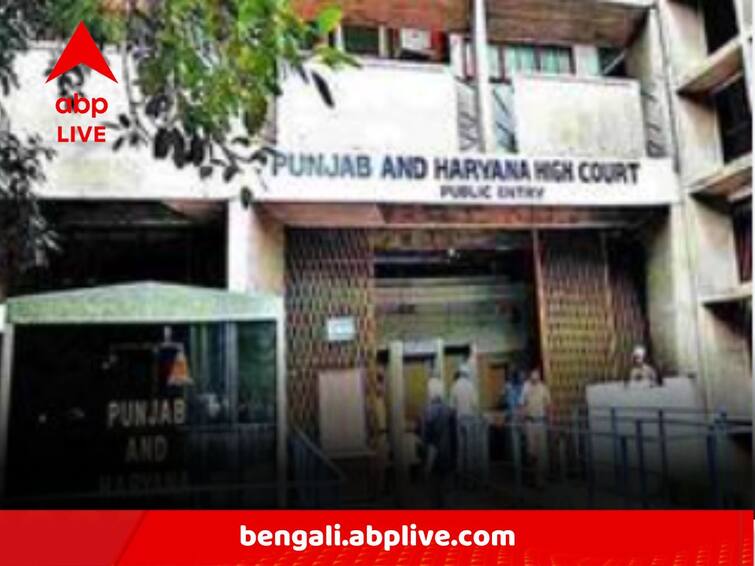 Punjab And Haryana High Court Says Man Living With A Partner Without Divorcing Spouse Cannot Be Considered To Be In A Live In Relationship Live In Relationship:স্ত্রীকে ডিভোর্স না করে অন্য মহিলার সঙ্গে থাকলে মিলবে না 'লিভ-ইন'-র মান্যতা, আর কী রায় কোর্টের?