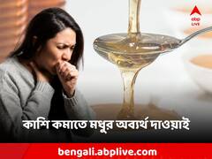 Honey Benefit: সর্দি-কাশি সারাতে মধু খেতে এই উপায়ে, রোগ সারবে চটজলদি