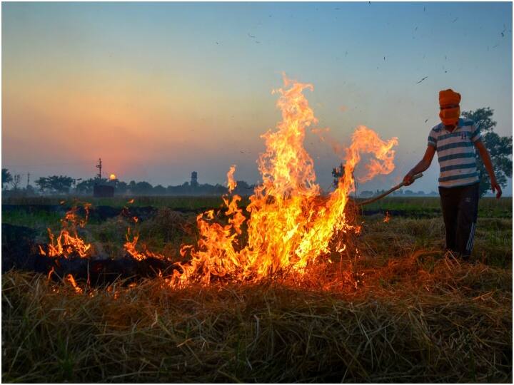 Punjab and haryana recorded very bad air quality as stubble burning case increased Punjab Pollution: पंजाब में पराली जलाने के 1700 से ज्यादा नए मामले, हरियाणा के अलग-अलग हिस्सों में AQI 'बहुत खराब'