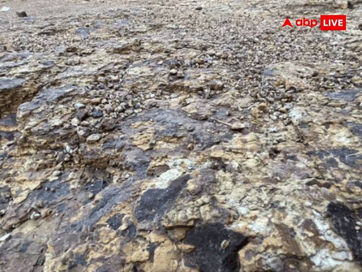 Critical Minerals Auction: EV की बैटरी के प्रोडक्शन को मिलेगा बढ़ावा, लिथियम समेत 20 महत्वपूर्ण मिनरल्स के खनन के लिए सरकार मंगाएगी बोली Lithium Including Critical 20 Minerals Production Bids will be Invited By Government In 2 Weeks Critical Minerals Auction: EV की बैटरी के प्रोडक्शन को मिलेगा बढ़ावा, लिथियम समेत 20 महत्वपूर्ण मिनरल्स के खनन के लिए सरकार मंगाएगी बोली