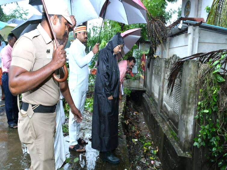 Committee headed by Joint Director of Agriculture to count crops affected by rain and flood in Mayiladuthurai District TNN TN Rain: மயிலாடுதுறை மாவட்டத்தில் மழை வெள்ளத்தால் பாதிக்கப்பட்ட பயிர்களை கணக்கிட வேளாண் இணை இயக்குநர் தலைமையில் குழு - ஆட்சியர் தகவல் 