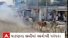 New Year special : પાટણના સમીના ધધાણામાં ગાયો દોડાવવાની વર્ષો જૂની પરંપરા યથાવત