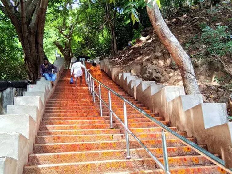 New Leopard Spotted At Srivari Mettu In Tirumala Leopard In Tirumala: శ్రీవారి మెట్టుమార్గంలో చిరుత సంచారం, భక్తులకు టీటీడీ హెచ్చరిక