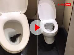 टॉयलेट सीट के अंदर रेंगता दिखा जहरीला सांप, VIDEO देख कांप गई लोगों की रूह