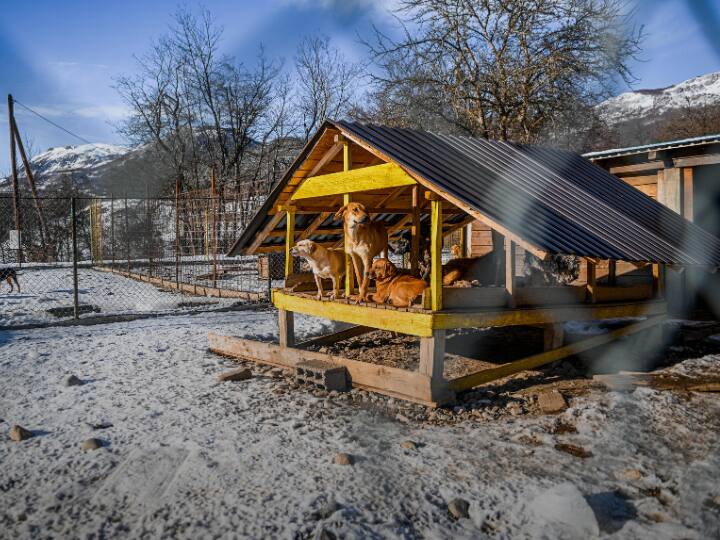 छतों पर लगे टिन शेड सीधे नहीं होने का एक बड़ा कारण यह है कि तेज हवाओं की वजह से छत की डामर की तख्तियां लहरदार हो सकती हैं.