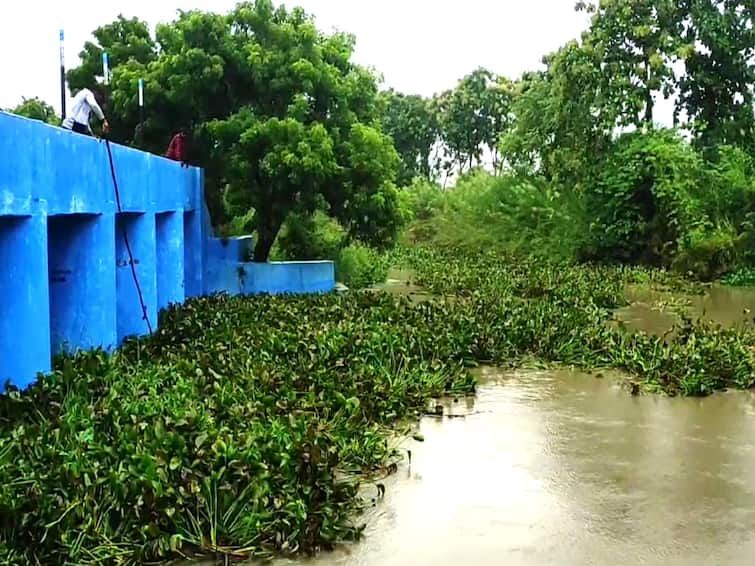 Mayiladhurai news Crops submerged near Tarangambadi due to negligence of PWD officials TNN TN Rain: மயிலாடுதுறையில் பொதுப்பணித்துறையின் காலம் கடந்த ஞானோதயம் - விவசாயிகள் வேதனை